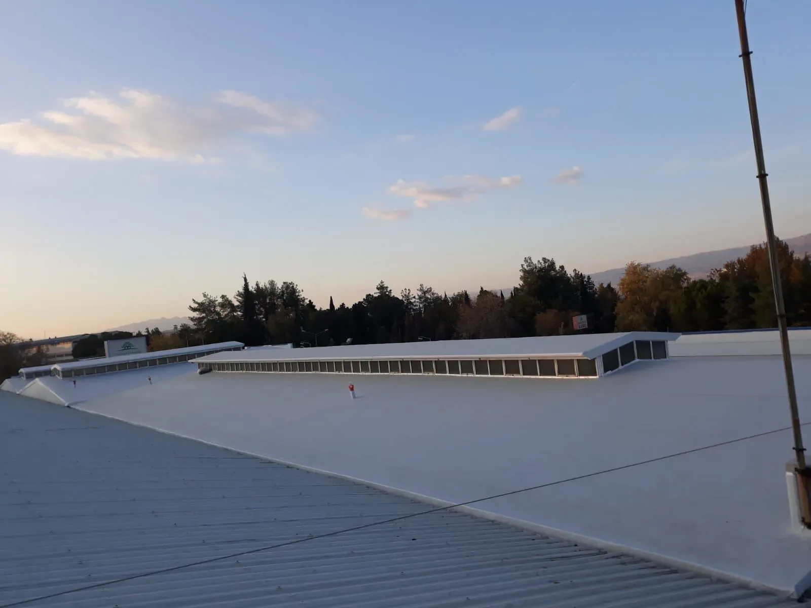 Galeri 6