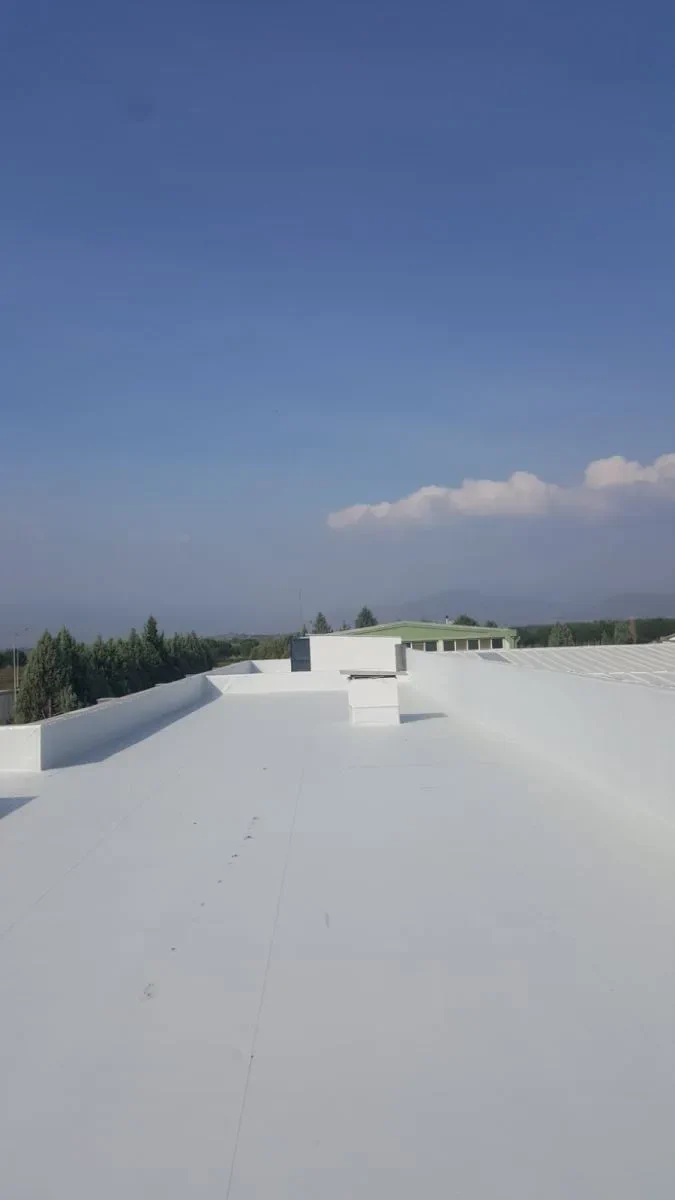Galeri 4